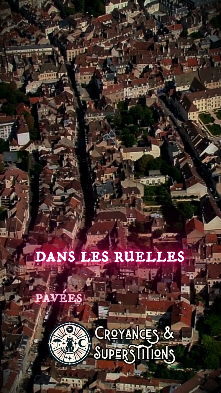 Image de l’épisode consacré à la chouette de Dijon